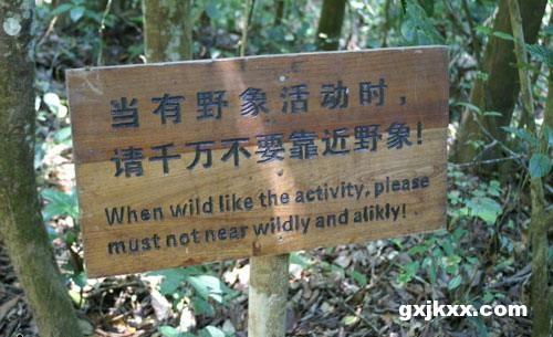 Epic Translation Fails