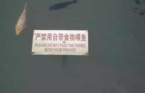 Epic Translation Fails